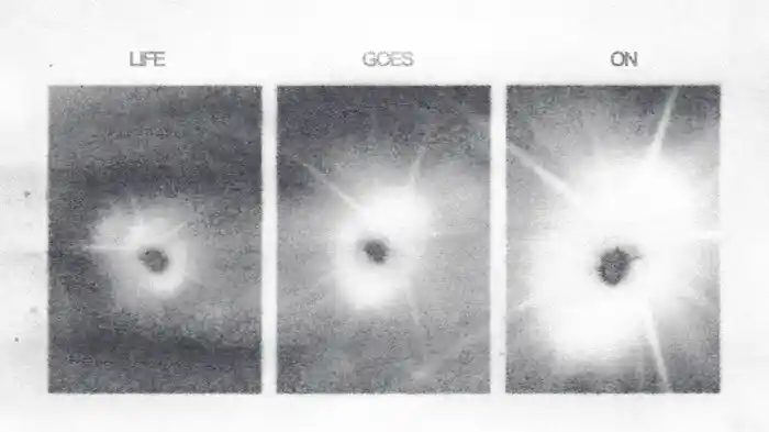 Life Goes On (Official Audio)