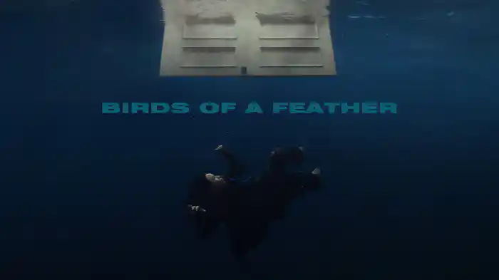 BIRDS OF A FEATHER (Lyric Video)