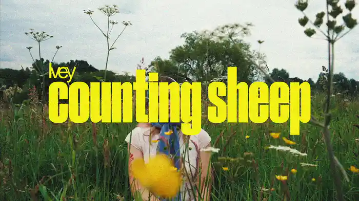 Counting Sheep (Lyric Video)