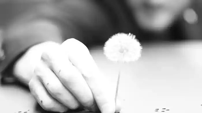 Song For No One (Visualiser)