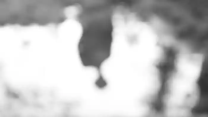 Rio (Stripped / Visualiser)