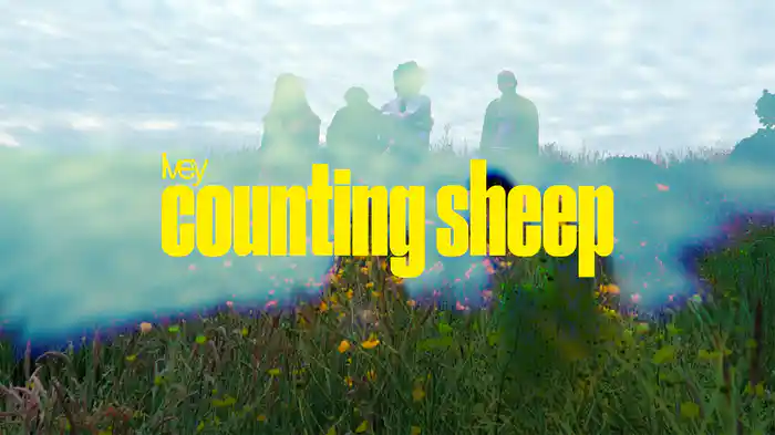 Counting Sheep