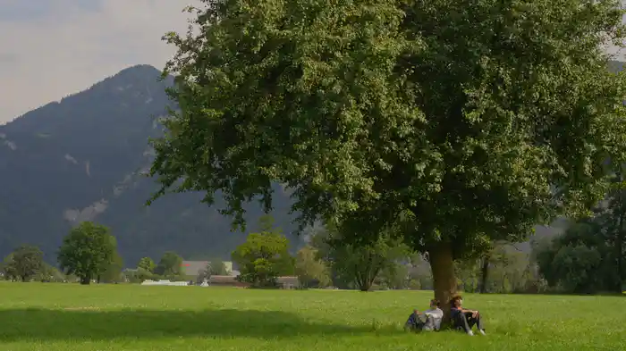 BYE X3 (MIT JEREMIAS)