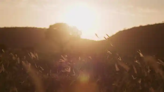 Güle Güle Anlattım Seni (Lyric Video)