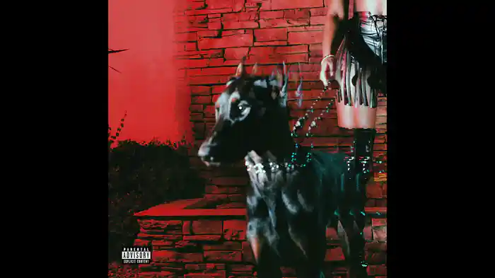 MUTT (Remix / Audio)