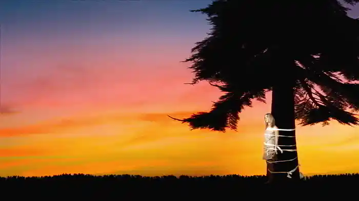 Sometimes All Ways (Visualizer)