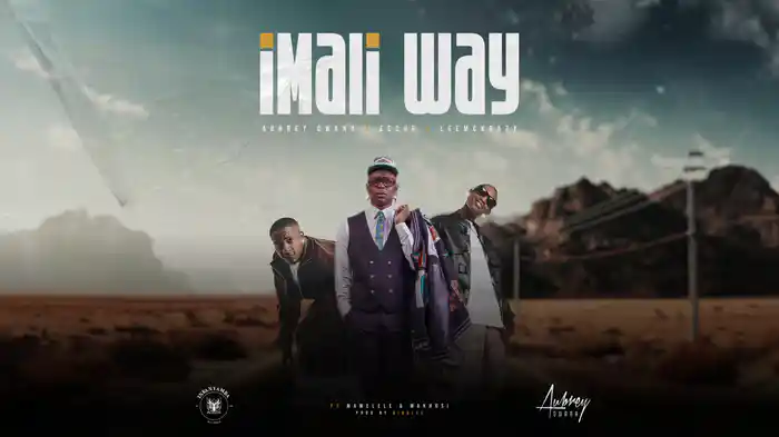 Imali Way (Visualizer)