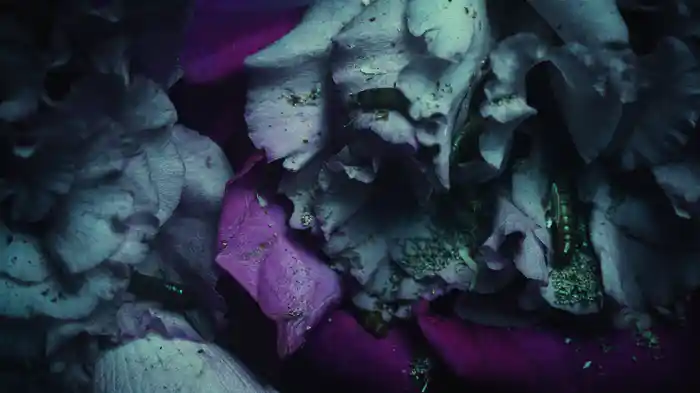 Dame Tu Amor (Lyric Video)