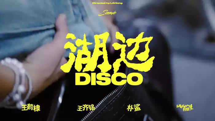 湖边迪斯科