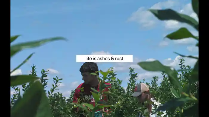 ashes & rust (Lyric Video)