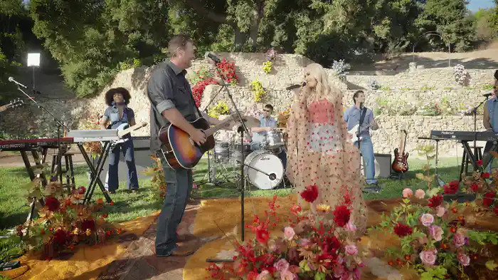 Purple Irises (Backyard Garden Party)