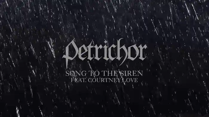 Song To The Siren (Visualizer)