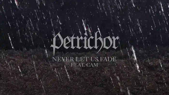 Never Let Us Fade (Visualizer)