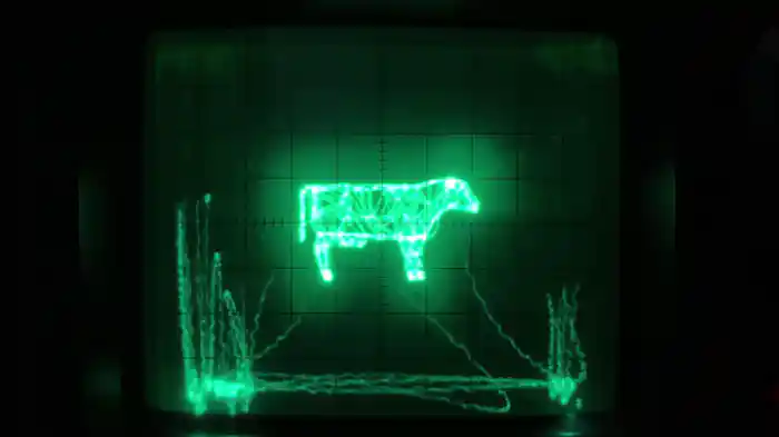 Wonderful Nothing (Mura Masa’s Do Ya Thing Tiger Mix / Visualiser)