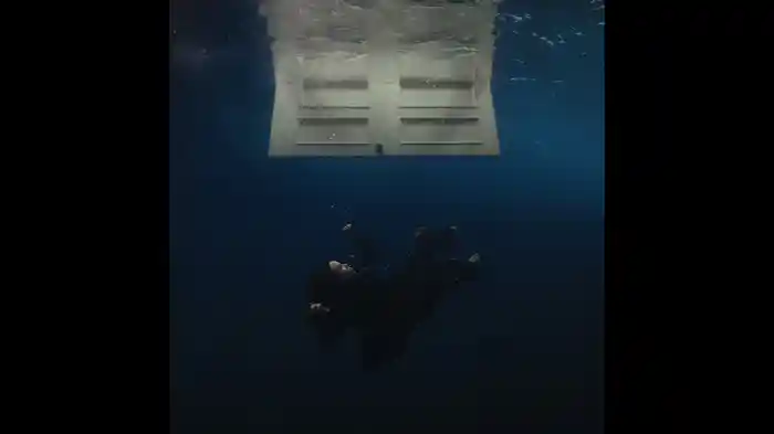 BITTERSUITE (ISOLATED VOCALS/Visualizer)