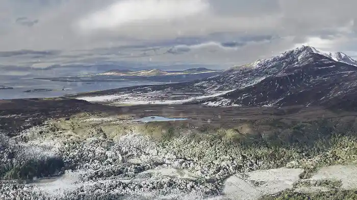 Amelia (A Christmas Carol) (Lyric Video)