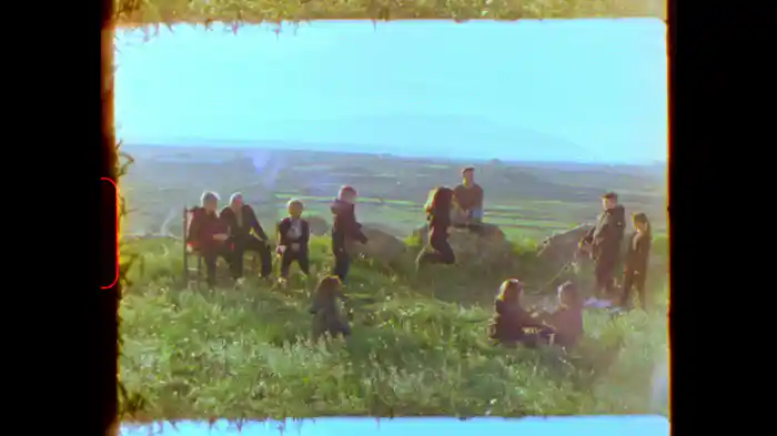 Golondrinas (Visualizer)