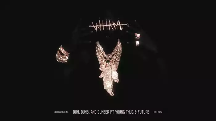 Dum, Dumb, and Dumber (Visualizer)