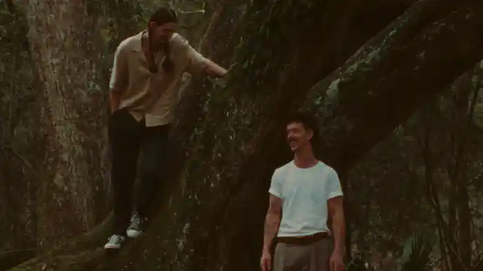 Bootstraps (Visualizer)