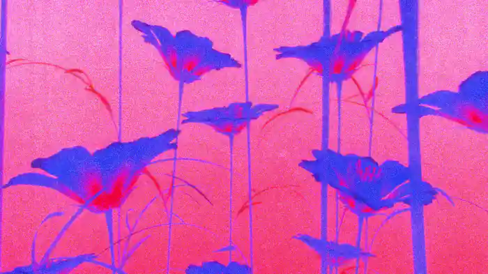 Lifeline (Visualiser)