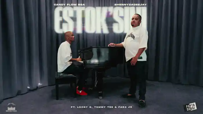 estok'sini (Visualizer)