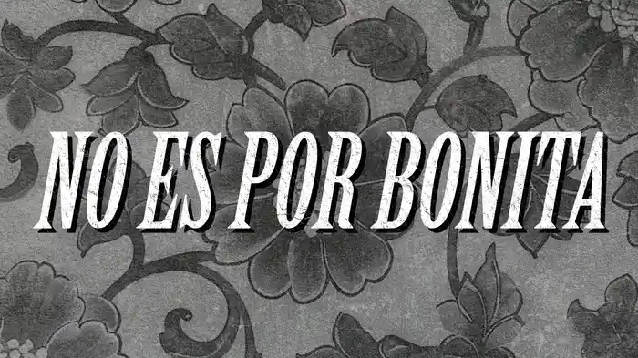No es por Bonita (Lyric Video)