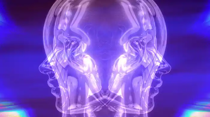 Anatomy (Lyric Video)