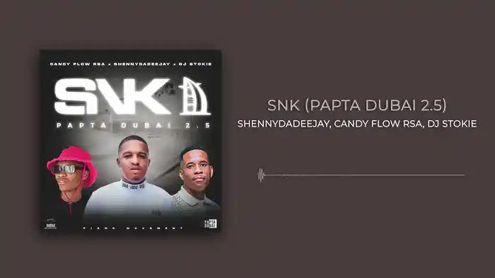 SNK (Papta Dubai 2.5) (Visualizer)