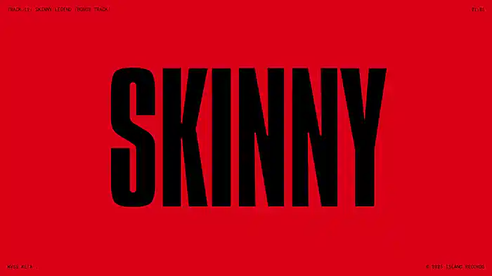 SKINNY LEGEND (Lyric Video)