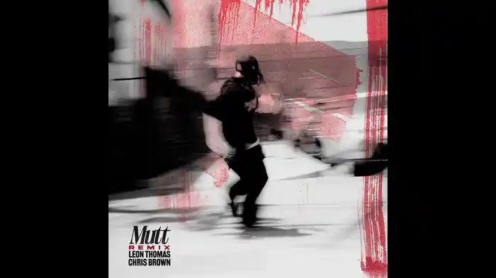 MUTT (CB REMIX / Audio)