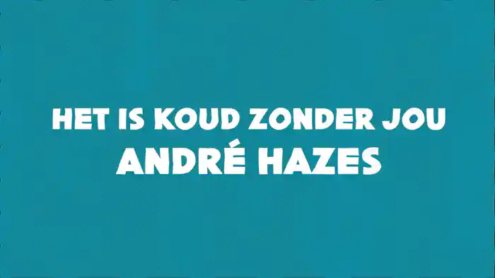 Het Is Koud Zonder Jou (Lyric Video)