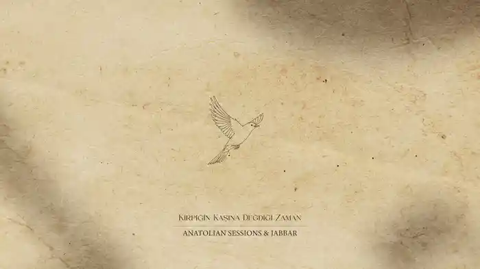 Kirpiğin Kaşına Değdiği Zaman (Visualiser)