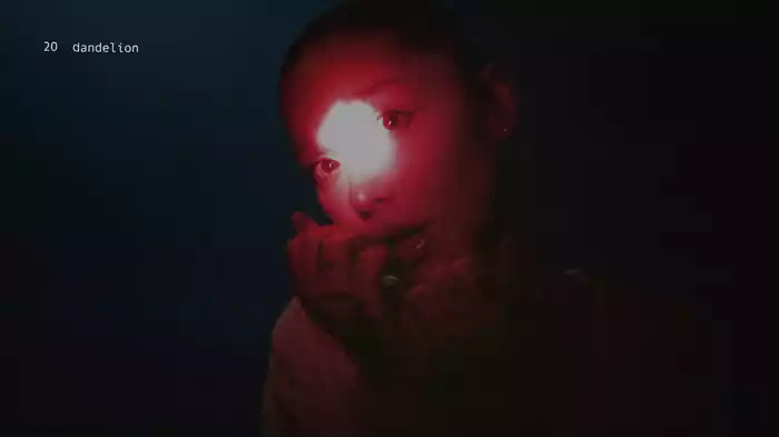 dandelion (Lyric Video)