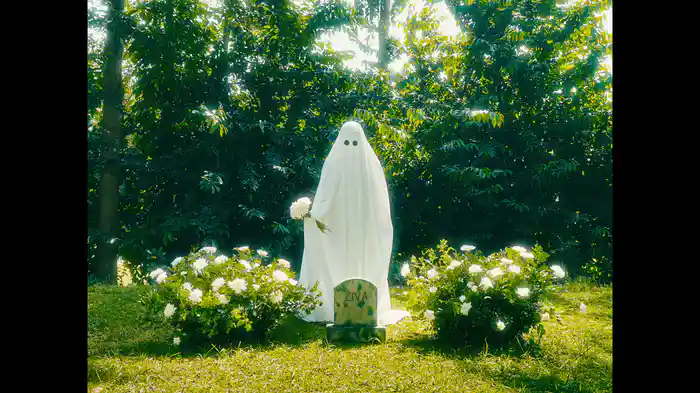 Against All The Odds