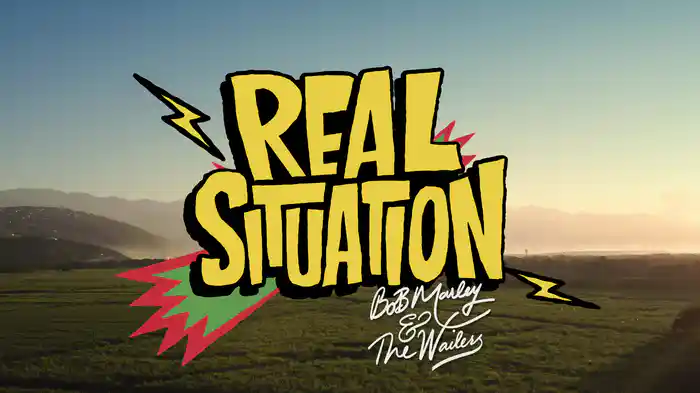 Real Situation (Visualizer)