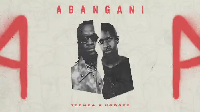 Abangani (Visualizer)
