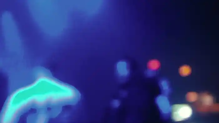 Bojack (Lyric Video)