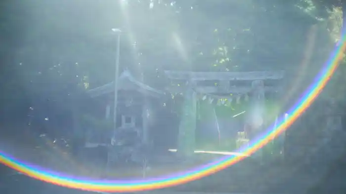 Autumn Moon (Lyric Video)