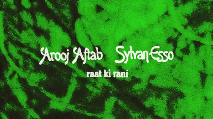 raat ki rani (Sylvan Esso Remix / Visualizer)