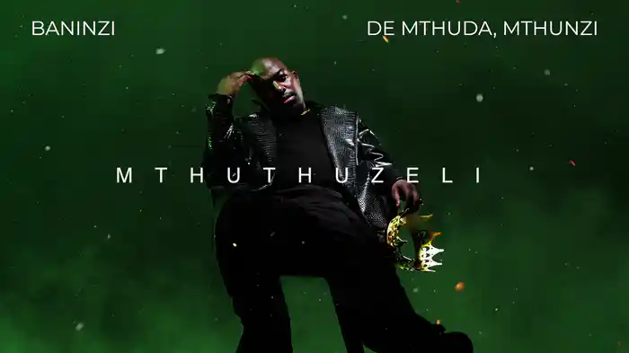 Baninzi (Visualizer)