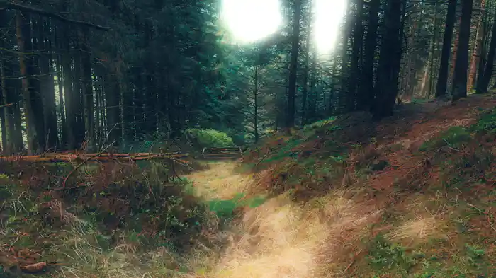 Pastorale (Visualizer)