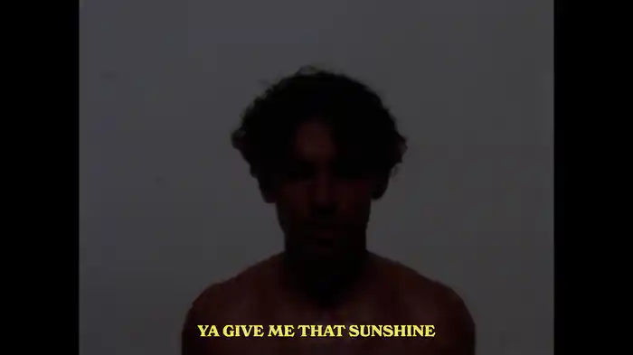 Velvet Sunshine (Lyric Video)