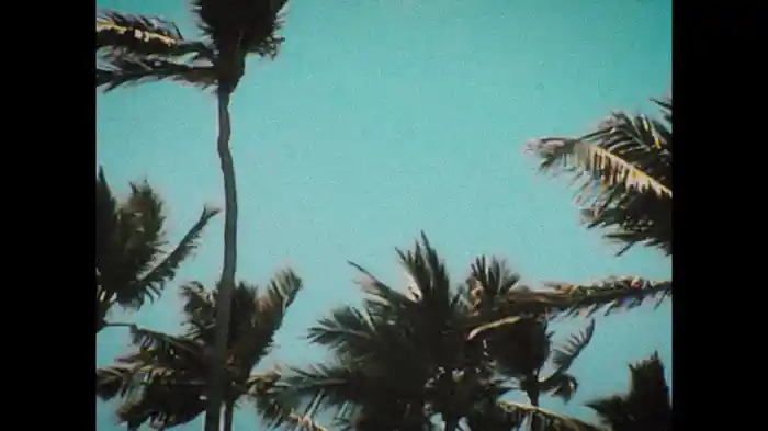 SURFEAR (Lyric Video)