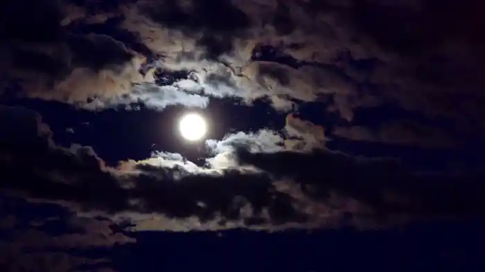 Cantoluna (Visualizer)