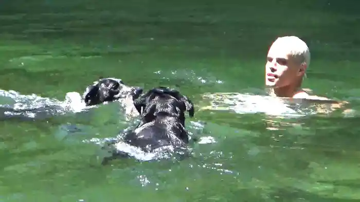 A Mi No Me Tumba Nadie