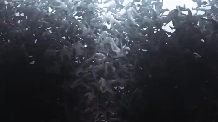 Lucente (Visualizer)