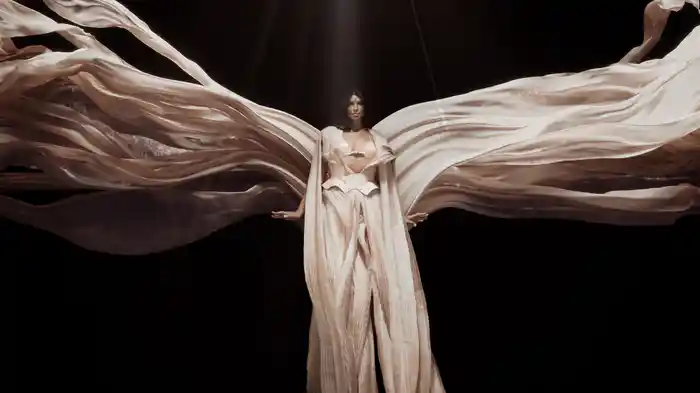 Fortuna (Visualizer)