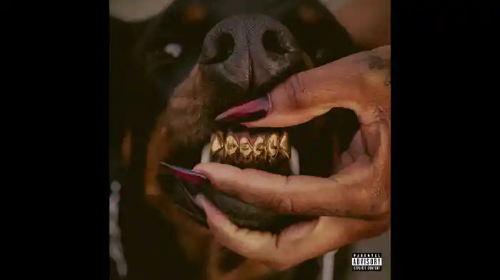 CATCH A STRAY (Audio)