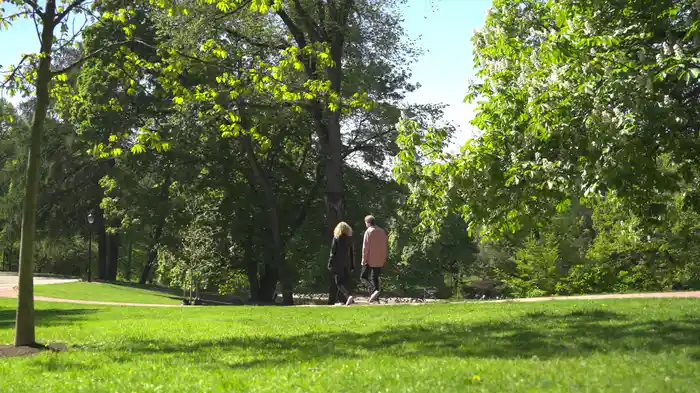 Nocturne (Visualizer 2025)