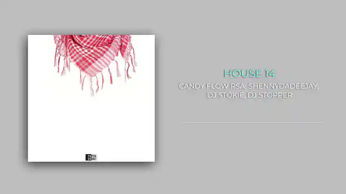 House 14 (Visualizer)